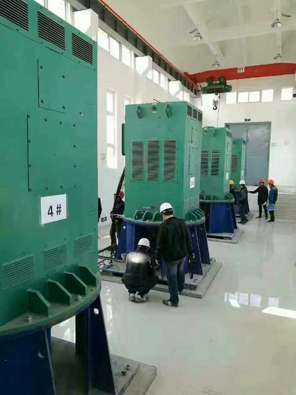 绵竹某污水处理厂使用我厂的立式高压电机安装现场